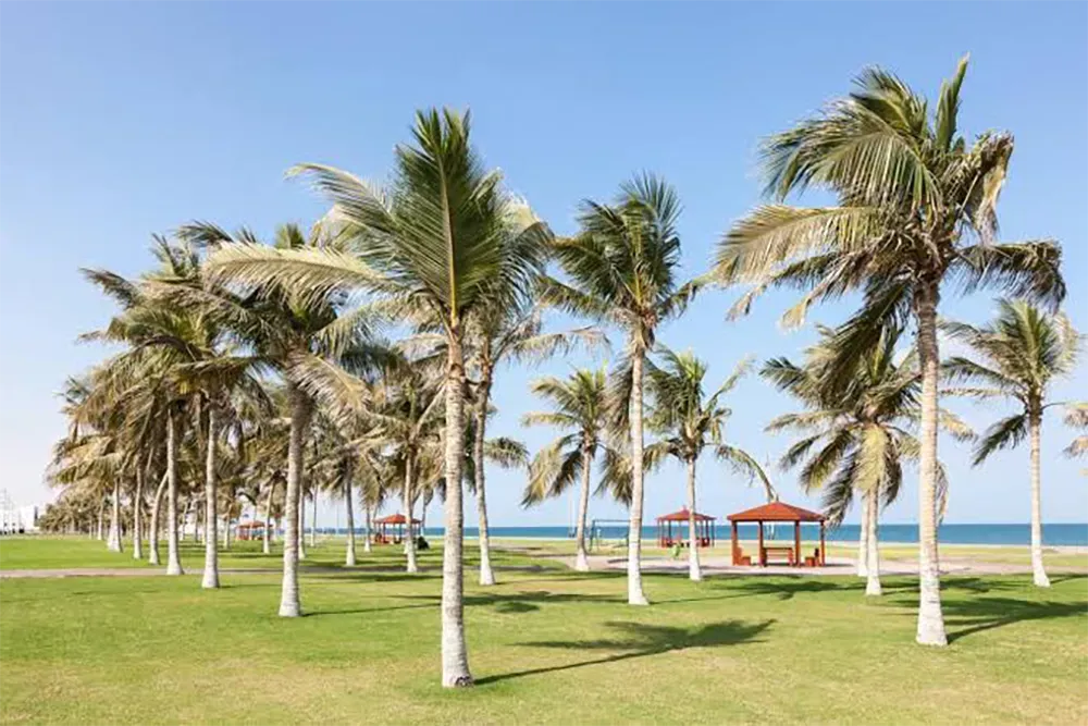 Seeb-Beach.webp